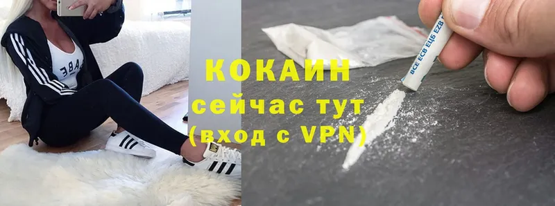 COCAIN Fish Scale  Горбатов 